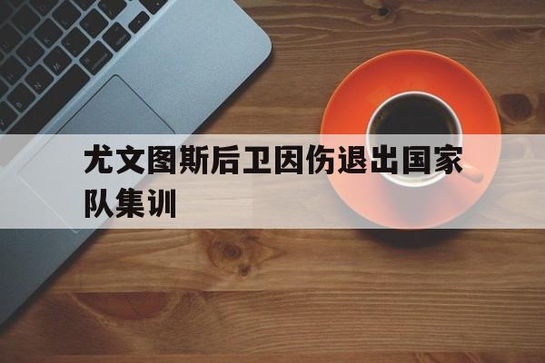 尤文图斯后卫因伤退出国家队集训